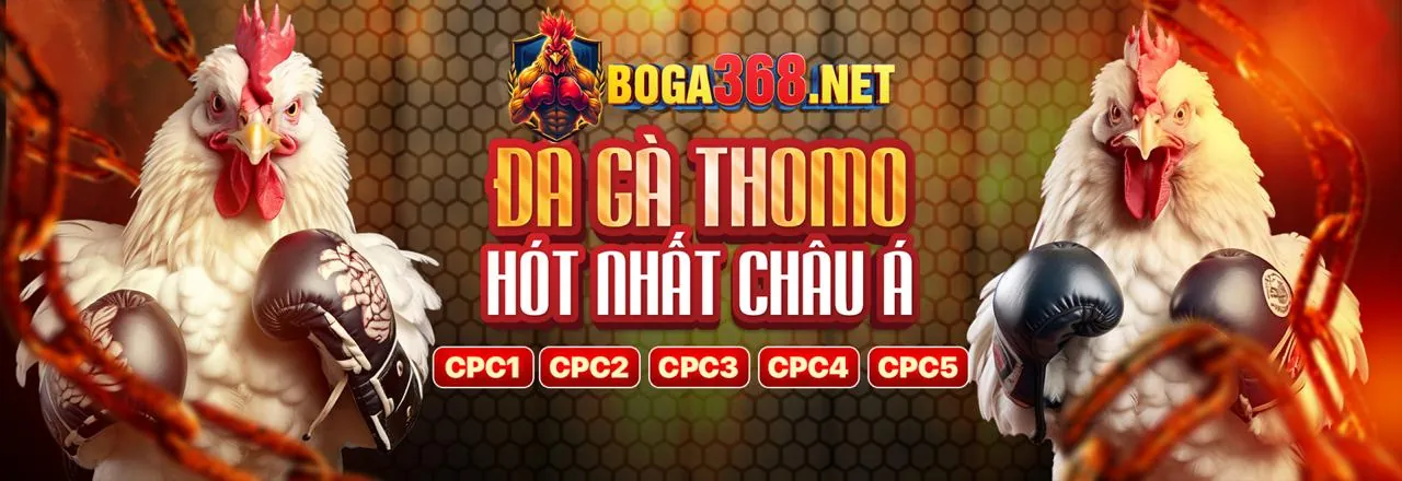 Hình ảnh chủ đạo Điều khoản và Điều kiện 188v2